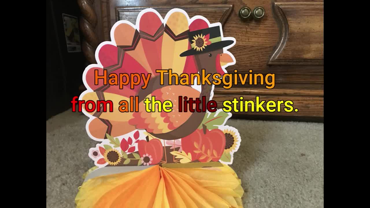 Happy Thanksgiving