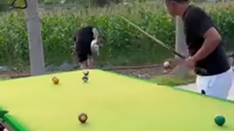 Funny billiards