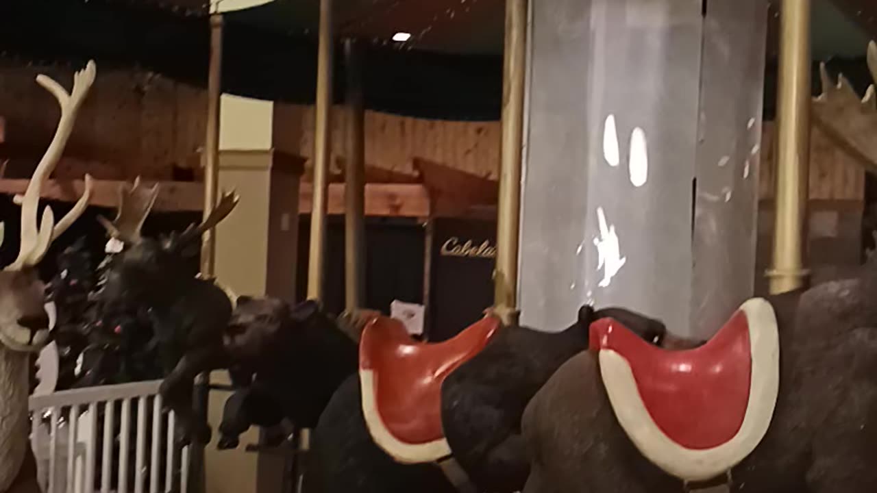 Dont see this every day in a store
