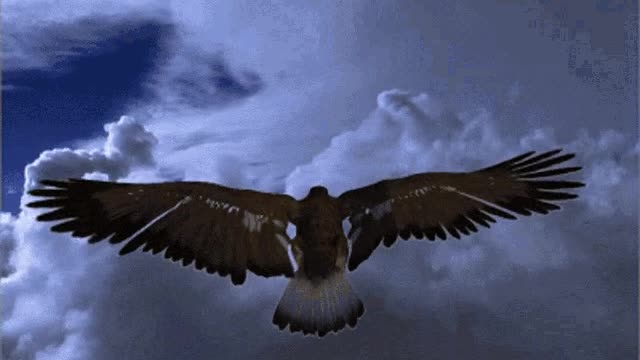 Sirs! Is This the Season For Translation