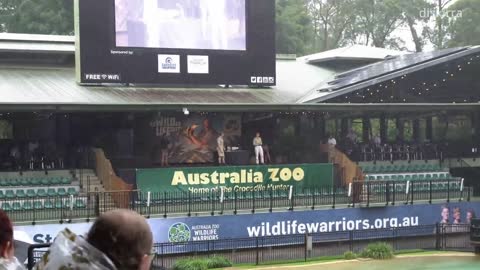 Robert Irwin Cries After His 19th Birthday Message From Dad Steve _ Australia Zoo