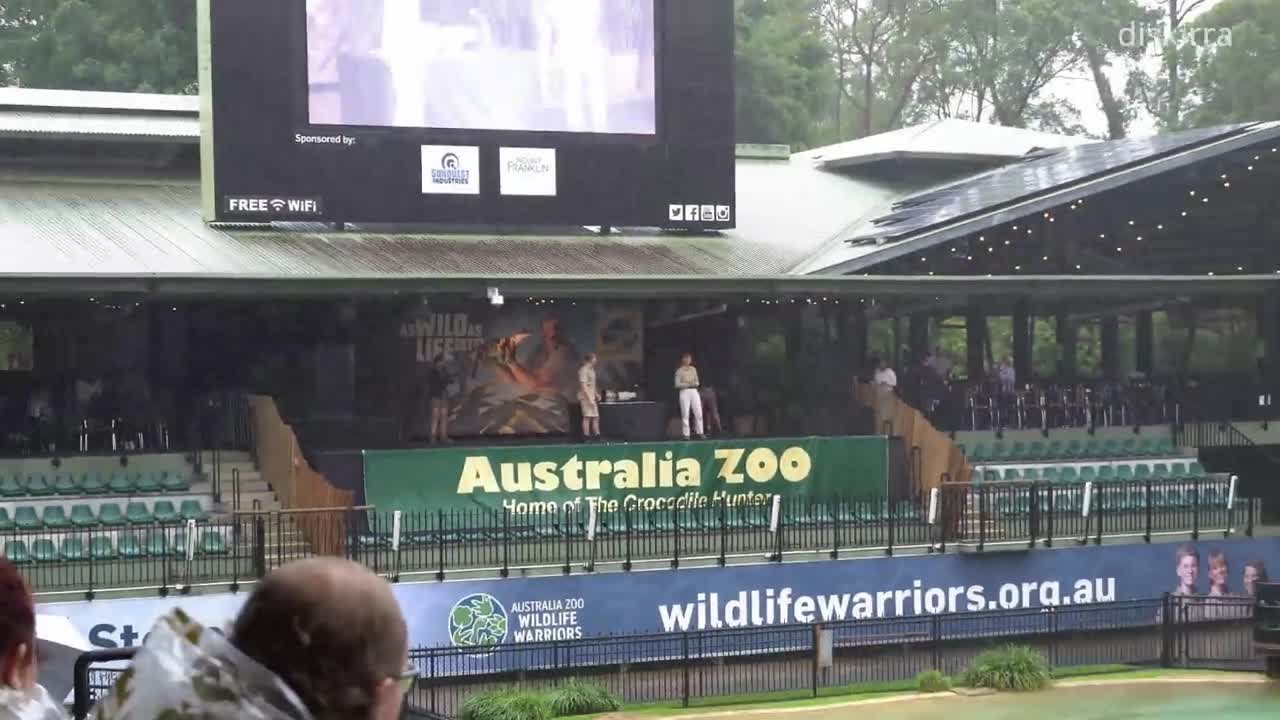 Robert Irwin Cries After His 19th Birthday Message From Dad Steve _ Australia Zoo