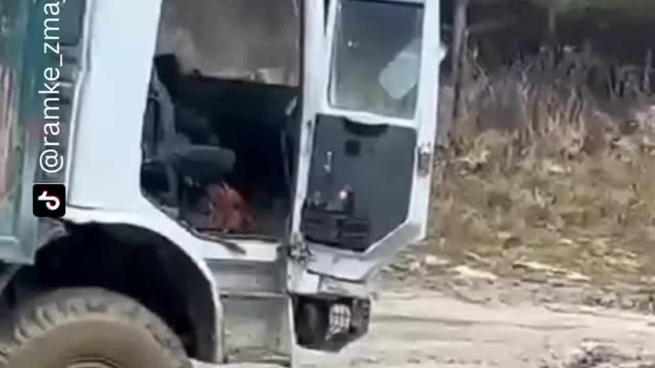 funny shorts