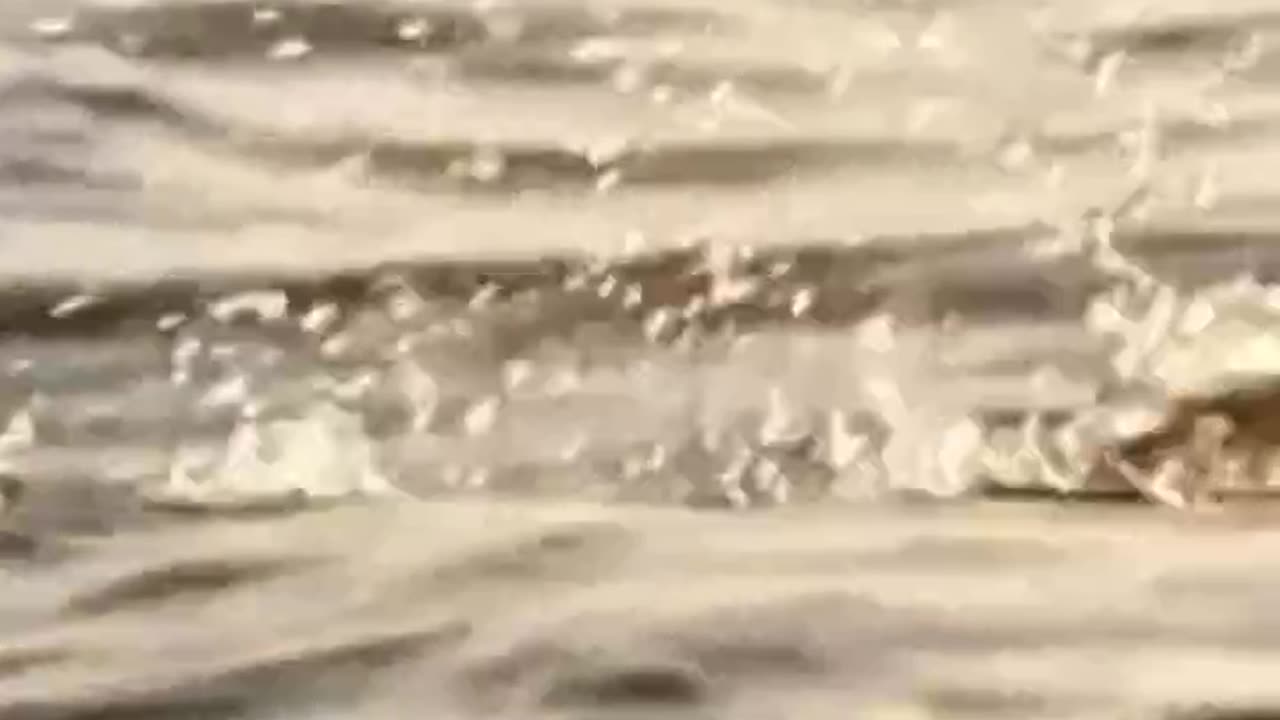 swimming 🏊♀️ 🥽 time ⏲️