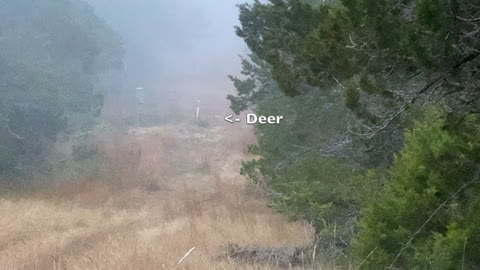 December Management Doe Hunt