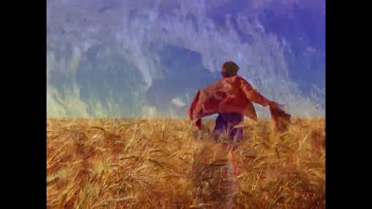 Pink Floyd - Learning To Fly