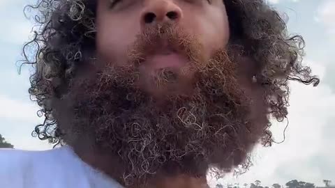 Clear day nature walk live with rock mercury