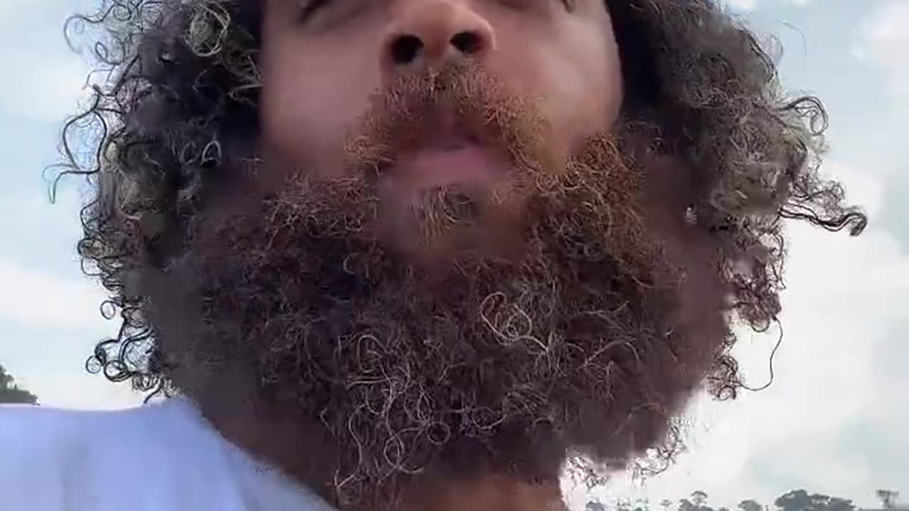 Clear day nature walk live with rock mercury