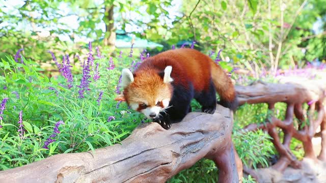 Eating food is so cute