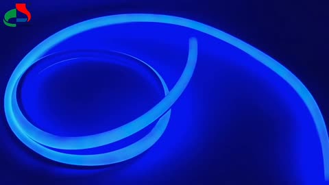 220vac Single D Type Ip65 Waterproof Pvc Silicone Flex Neon Rope Light Strip Blue Led Neon Light