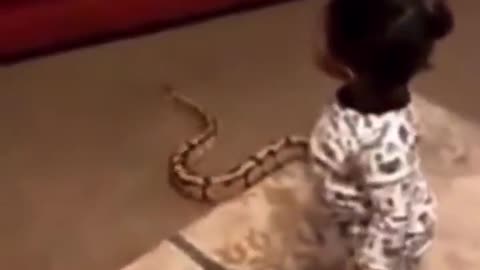 Baby surprises mother with a snake she found outside