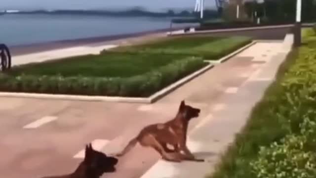 Wow