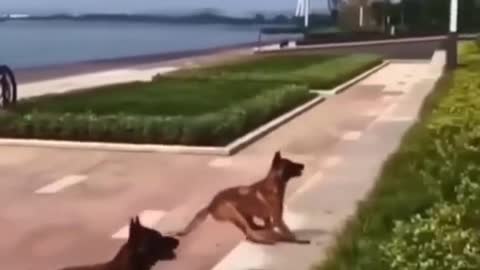 Wow