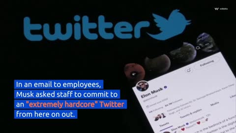 Elon Musk Tells Twitter Employees To Embrace Work Ethics