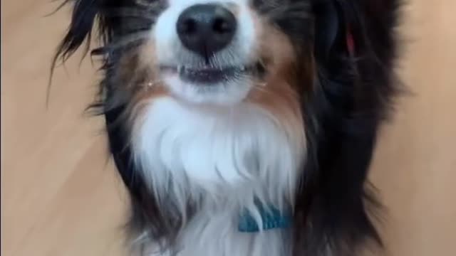 When the peanut butter hits the spot