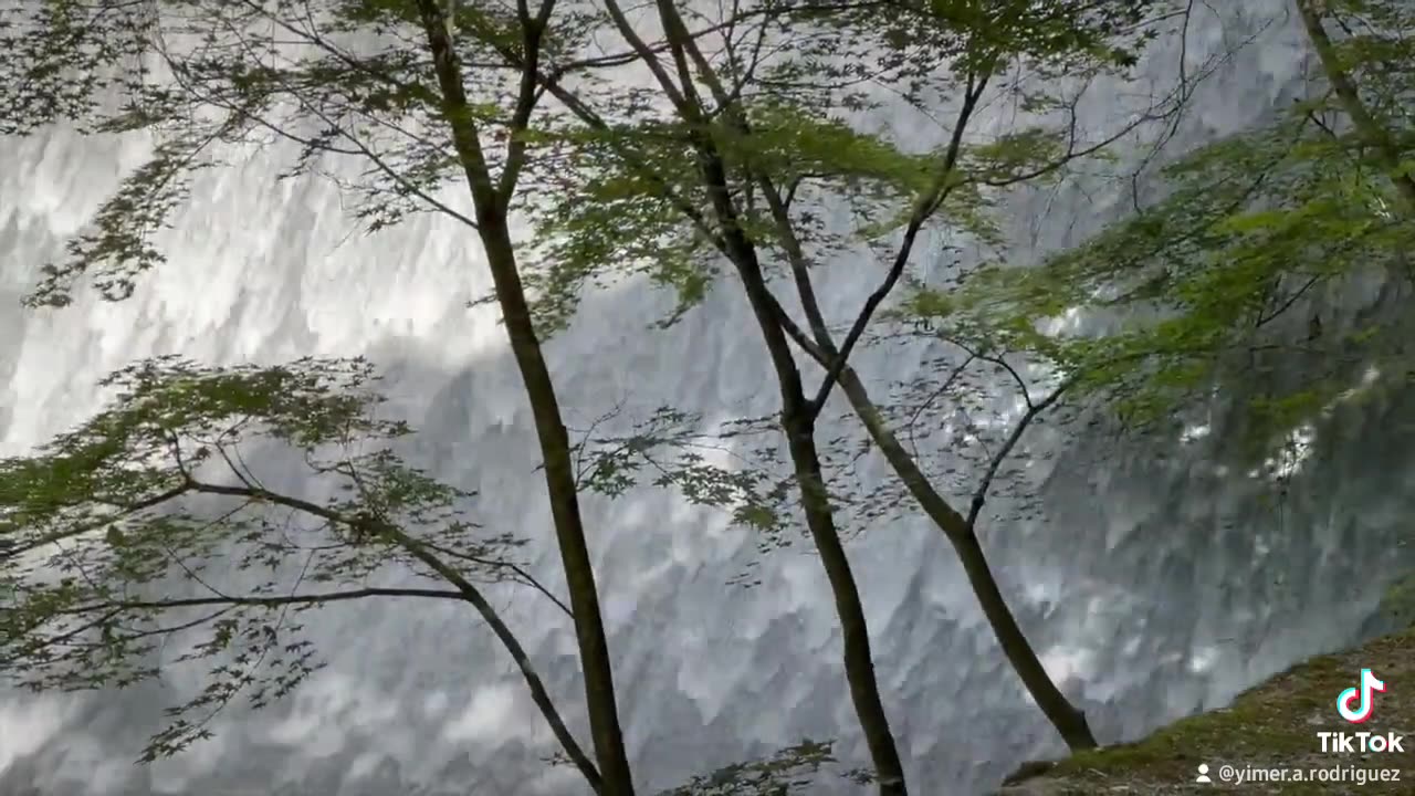 Presa de las Tres Gargantas