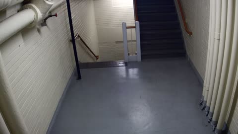 3891FHOB05Stair4_2021-01-06_09h40min01s037ms.mp4