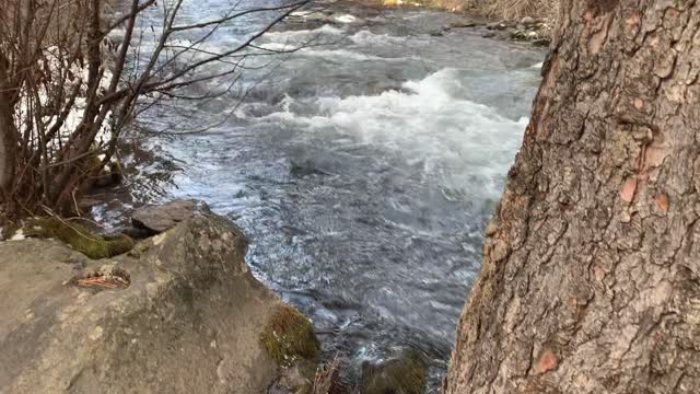 Crystal Clear Mountain Glacier Water – Whychus Creek – Central Oregon