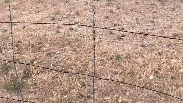 Lightning Strike Fire Burns Away Utah Hillside