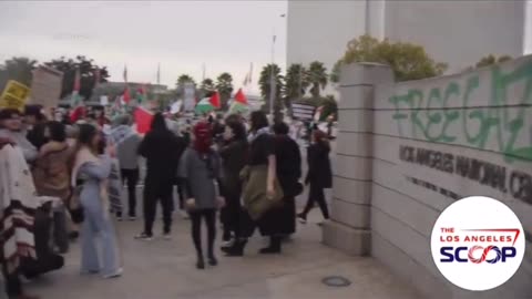 Pro-Palestinian rioters 1/7/24 Los Angeles