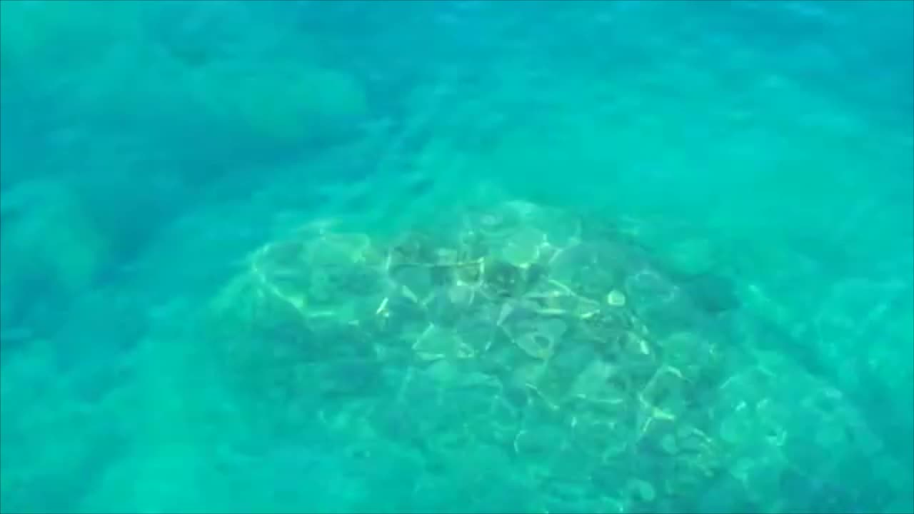 Water Ripples