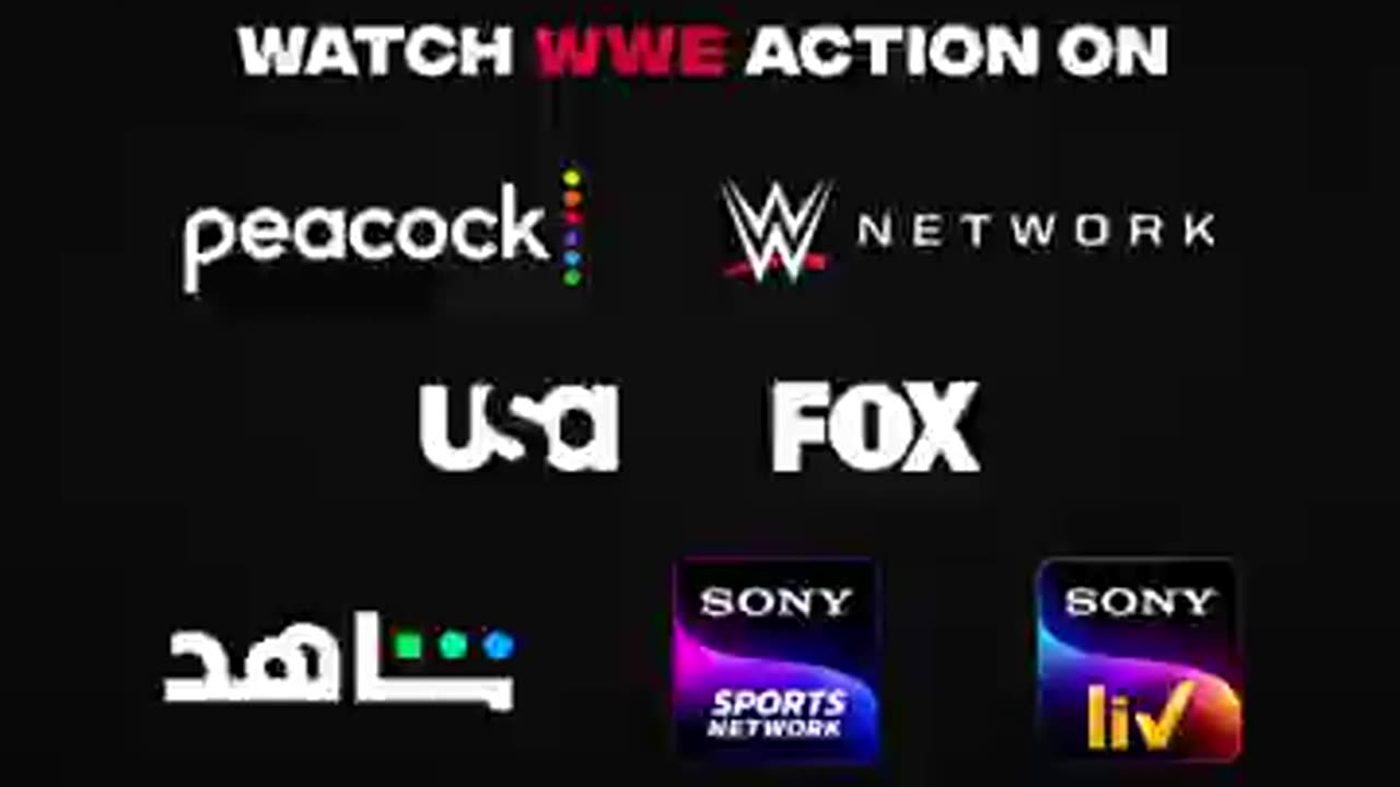 WWE fighting with undertaker vs khali