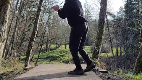 Nearly Perfect - Discgolf