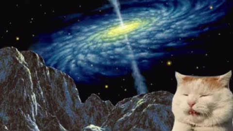 Space Cat Gif! 🐈💫