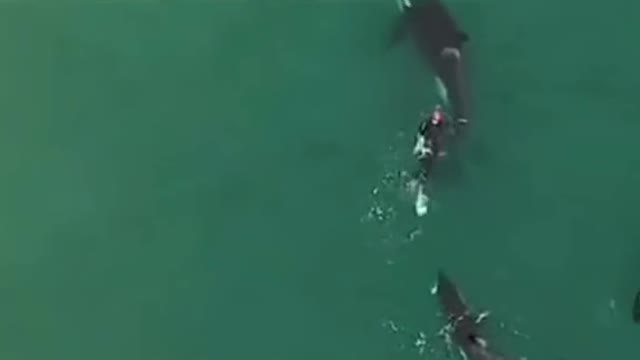 Wow amazing experience 😱❤️