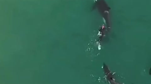 Wow amazing experience 😱❤️