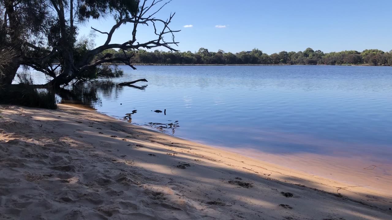Lovely day out and about 🌞🇦🇺🌞