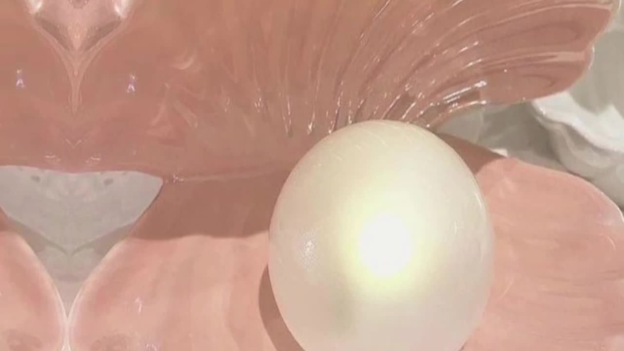 মুক্তা কিভাবে হয় দেখুন ☺️ / Big Drop Fact /