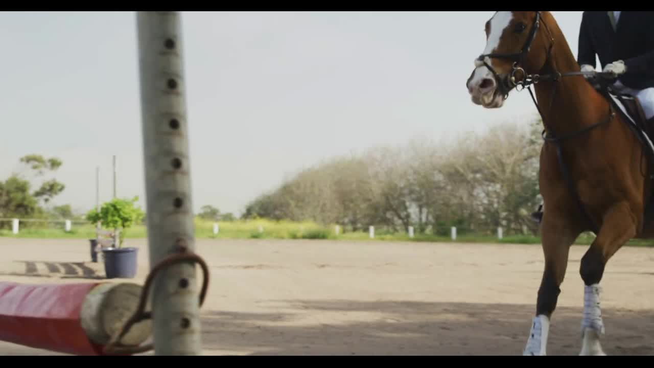 African American man jumping an obstacle with his Dressage horse