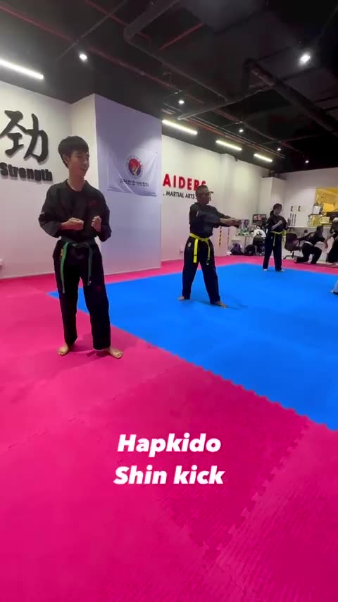 Hapkido