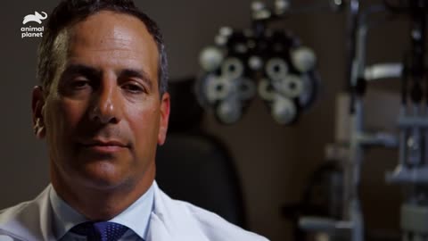 Acanthamoeba eye parasite