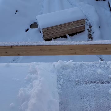 Throwing snow off a 3 story building 10 points if I can hit someone