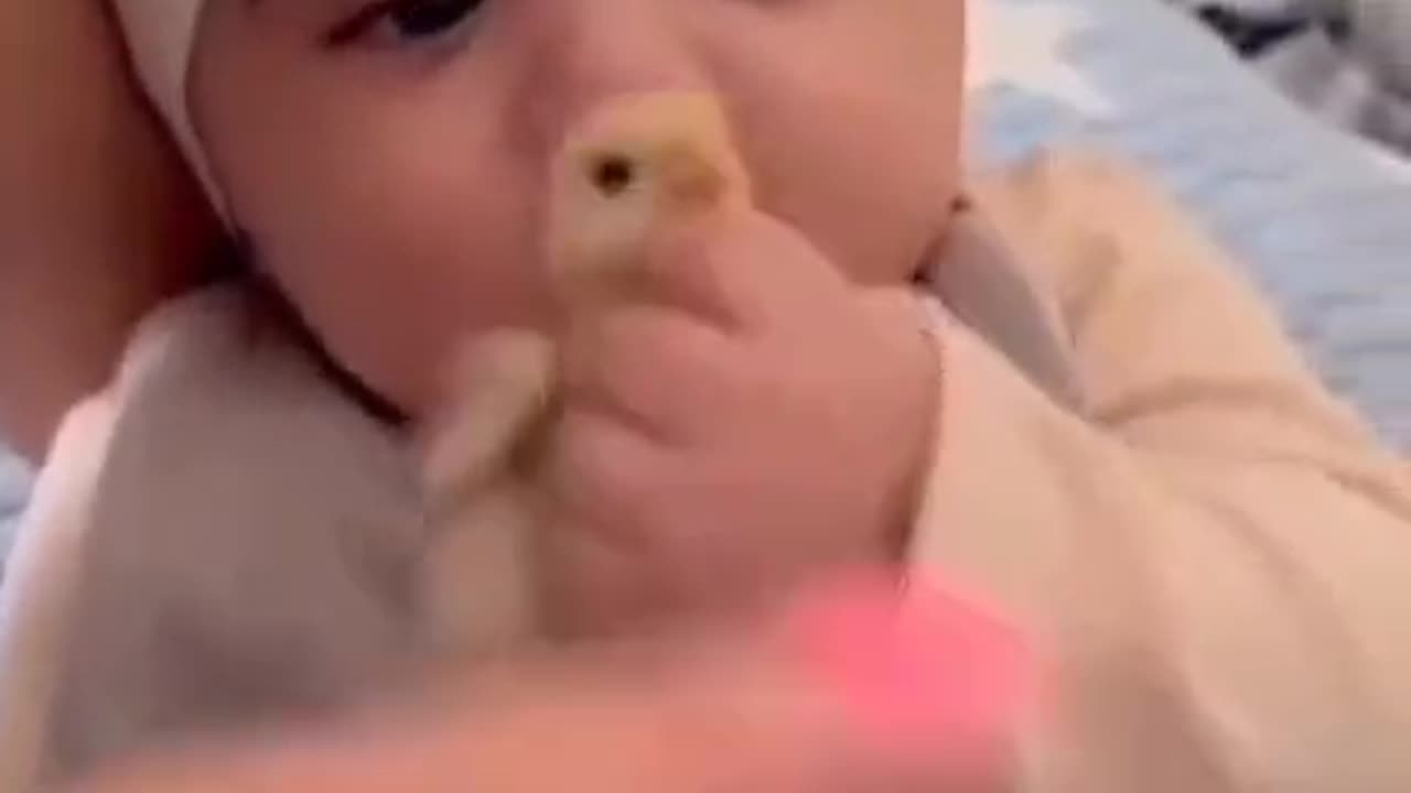 Adorable Kid's Heartwarming Adventure: Playful Rumble with a Tiny Chick