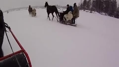 Sleder på Lyseren