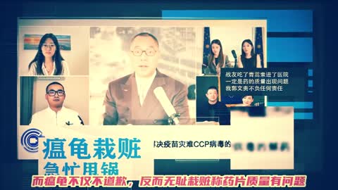 Yan limeng's so-called expert is actually a "brick family".