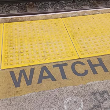 Sparrows on LIRR platform