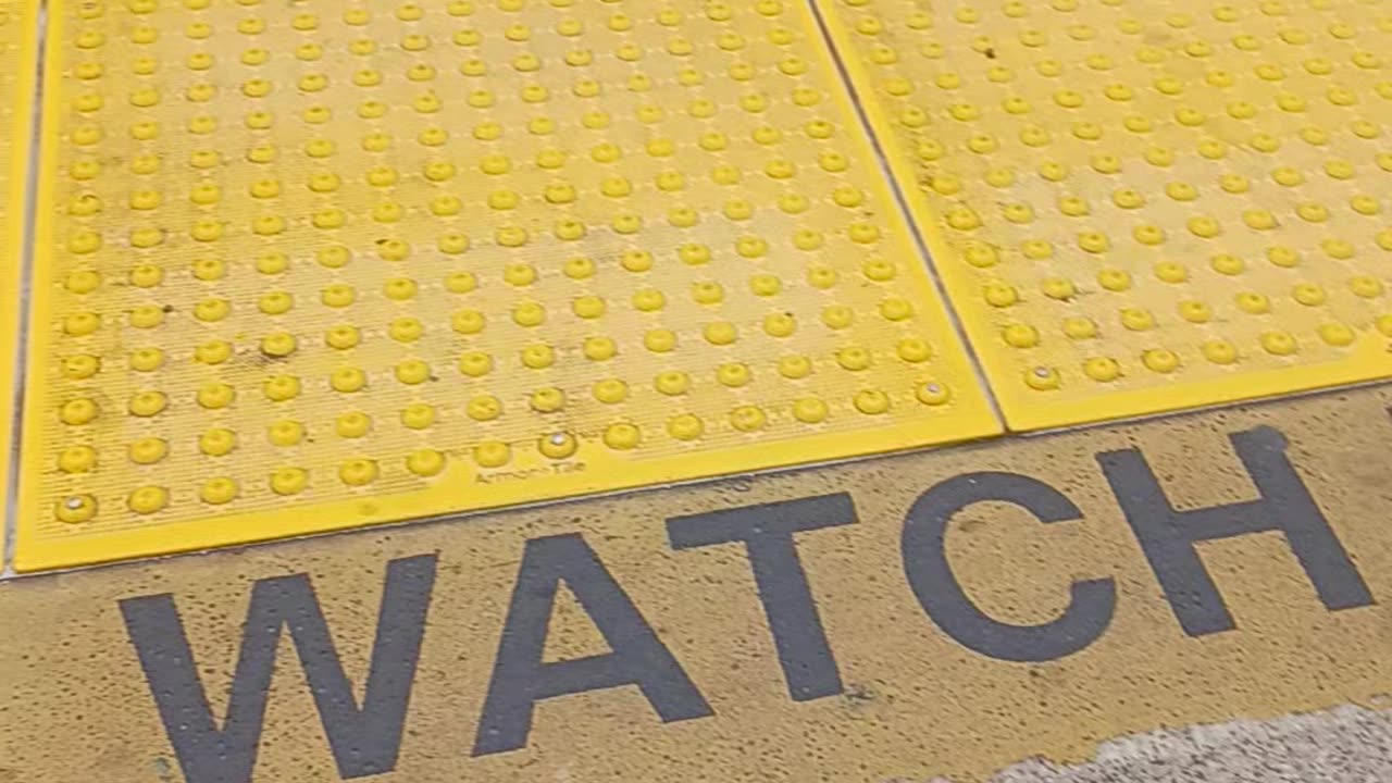 Sparrows on LIRR platform