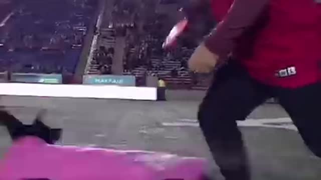 World record for longest catch at a sporting event and it’s by a dog!