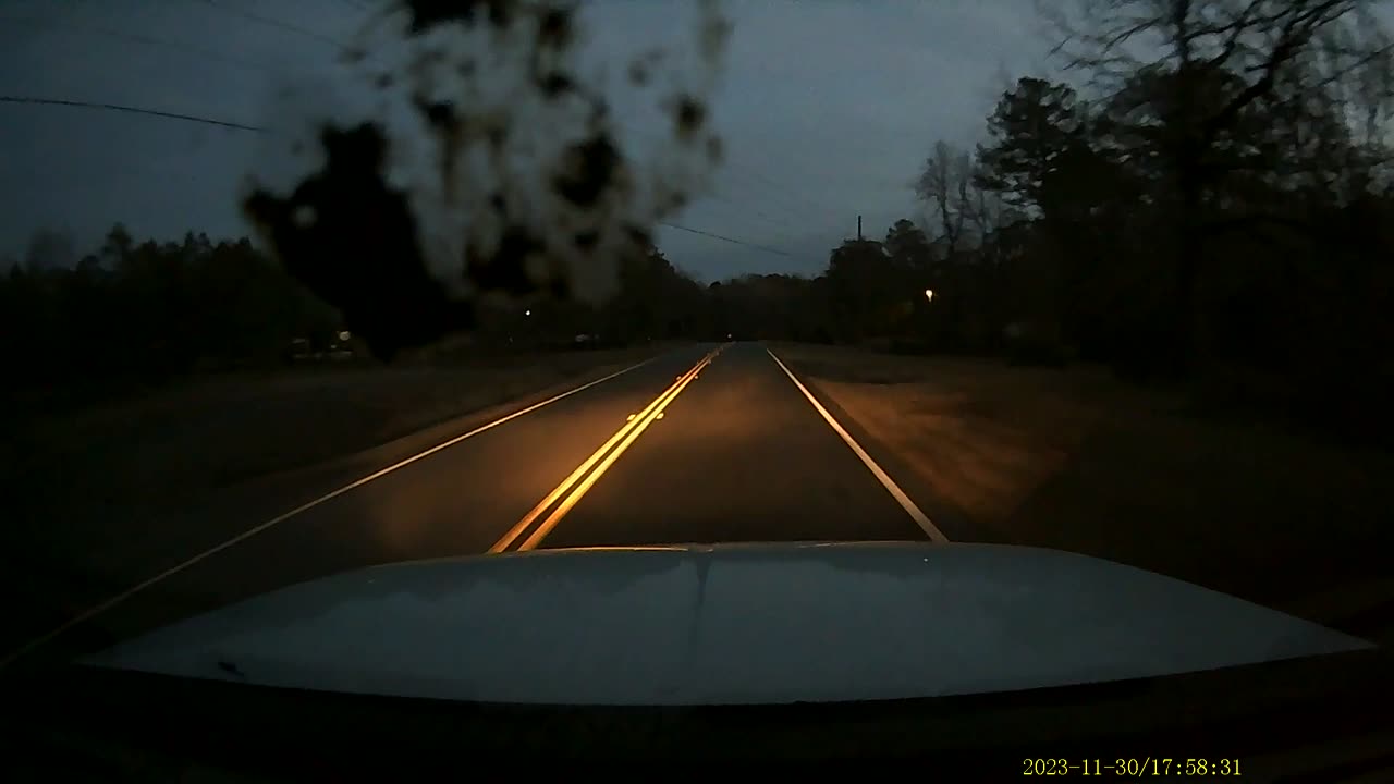 11.30 hit Deer