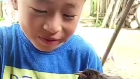 Interesting story of friendship between a small child and a bird!