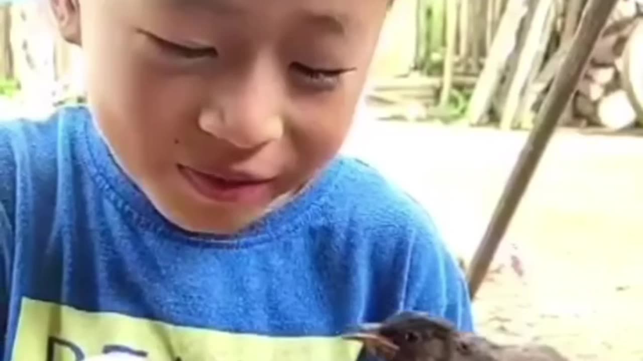 Interesting story of friendship between a small child and a bird!