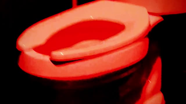 ONE OF THE MOST HORRIFYING TOILETS EVER