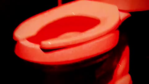 ONE OF THE MOST HORRIFYING TOILETS EVER