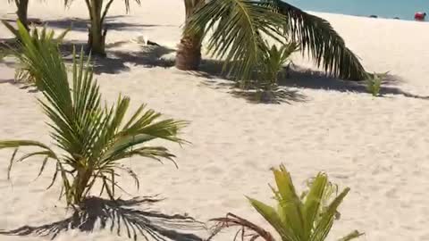 Vacation mood