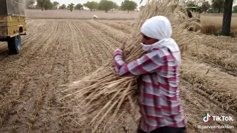 Farmer on duty