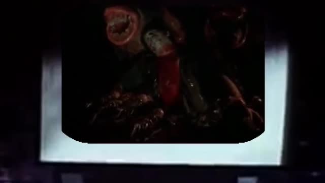 Monster in a Minute E25 "Deadly Spawn"